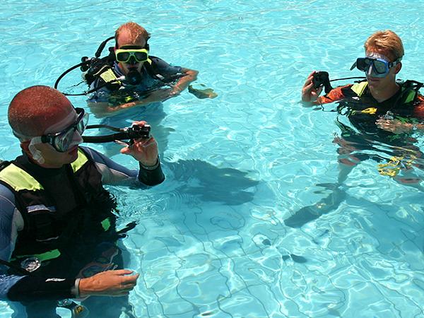 Curso De Certificación   Open Water