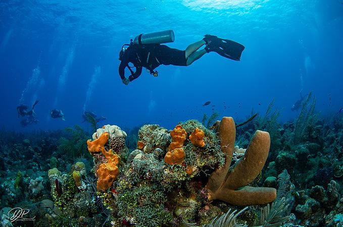 Centro De Mergulho Banda Dive Shop