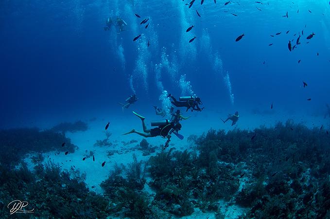 Centro De Mergulho Banda Dive Shop