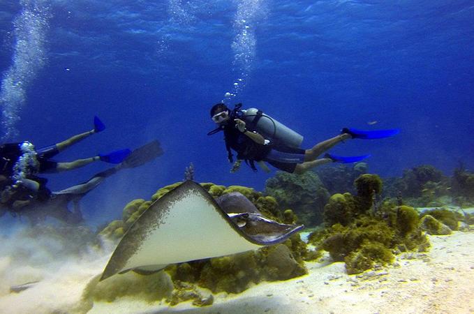 Centro De Mergulho Banda Dive Shop