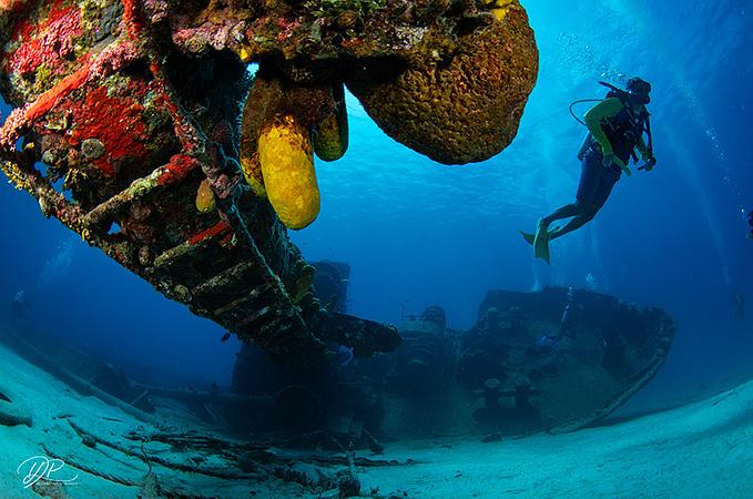 Centro De Mergulho Banda Dive Shop