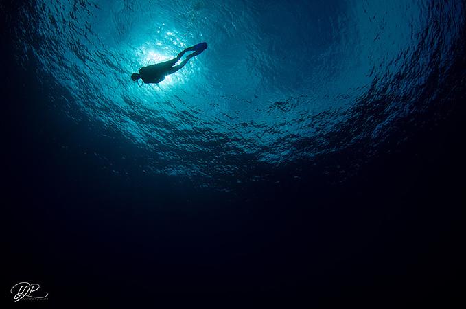 Centro De Mergulho Banda Dive Shop