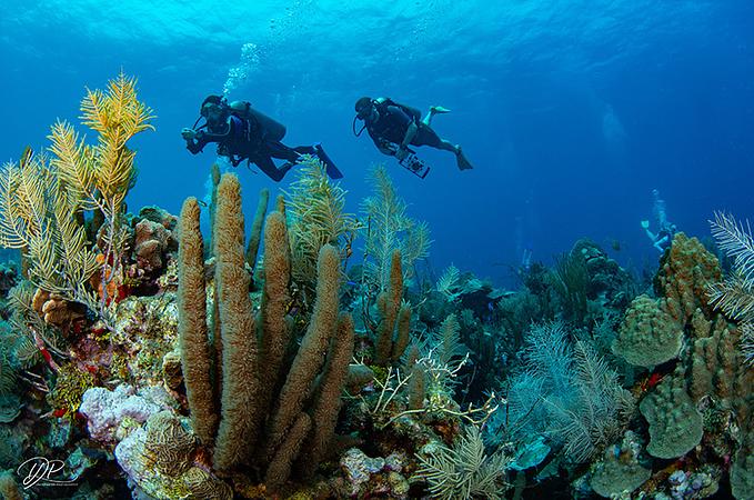 Centro De Mergulho Banda Dive Shop